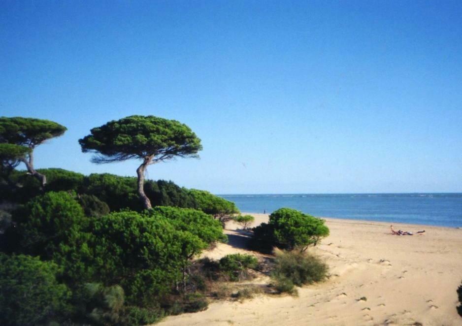 Atico Del Portil Daire Dış mekan fotoğraf